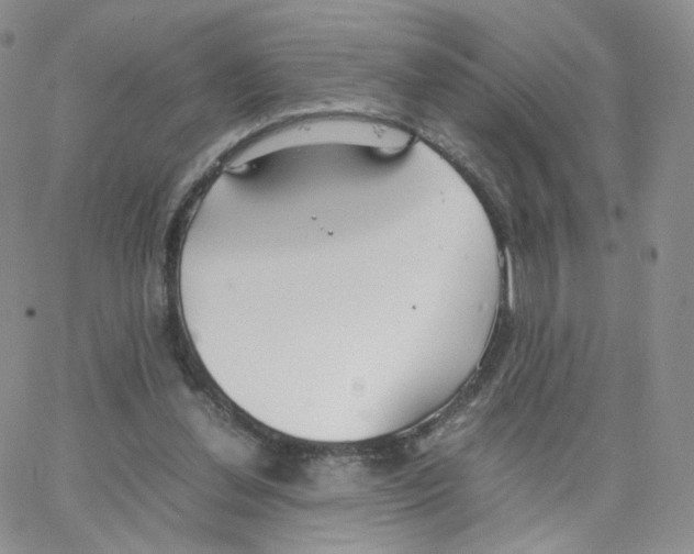 X0000064730252200603131300