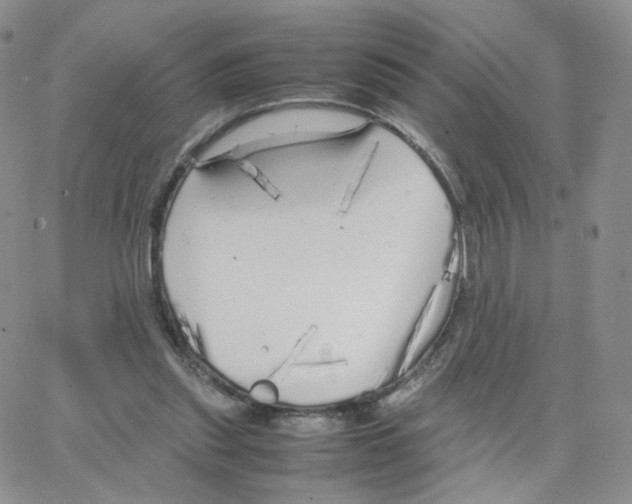 X0000064730253200603131300