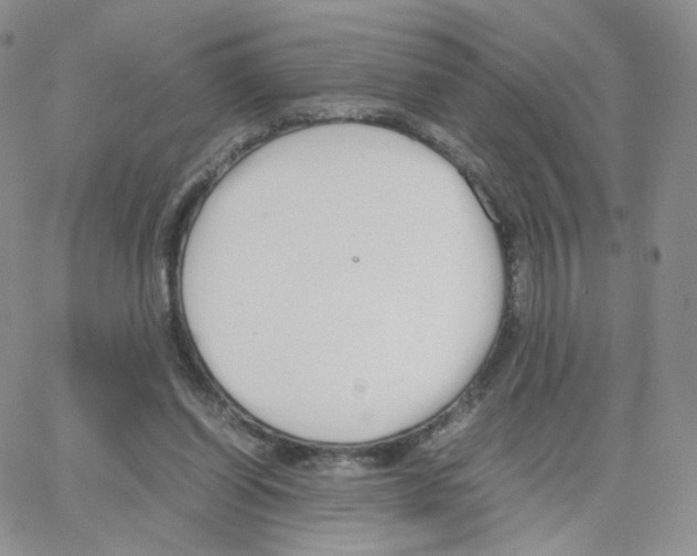 X0000064730254200603131300