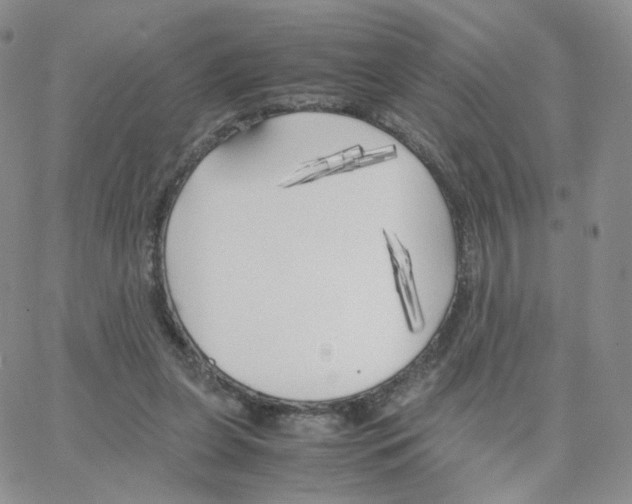 X0000064730255200603131300