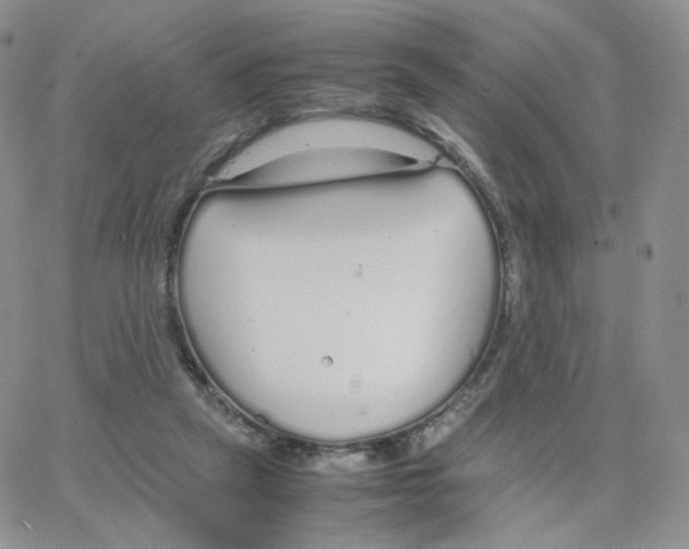 X0000064730257200603131300