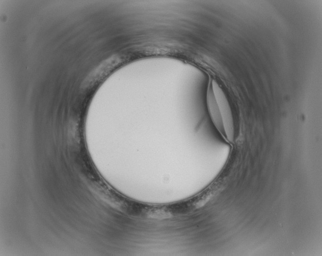 X0000064730258200603131300