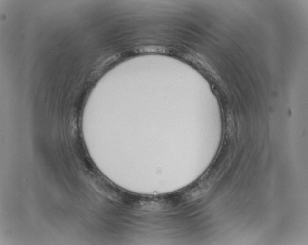 X0000064730259200603131300