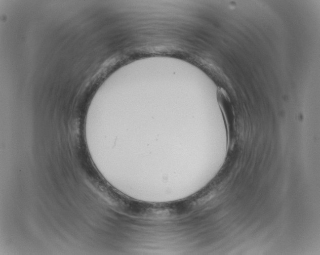 X0000064730260200603131300