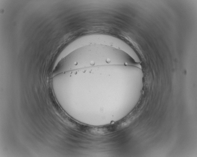 X0000064730261200603131300