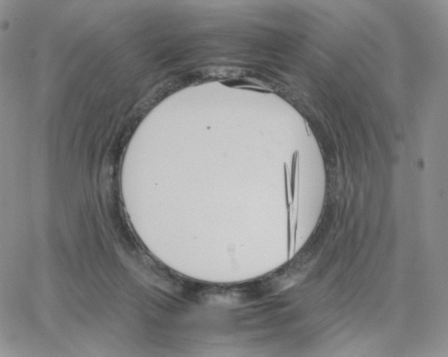 X0000064730263200603131300