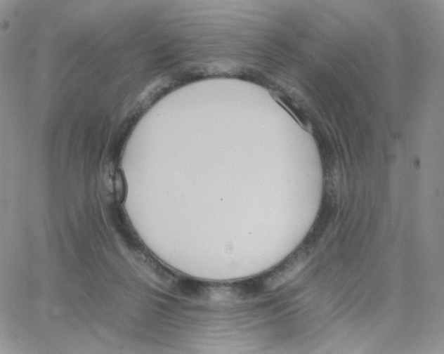 X0000064730264200603131300