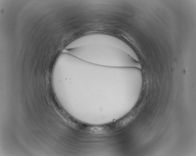 X0000064730265200603131300