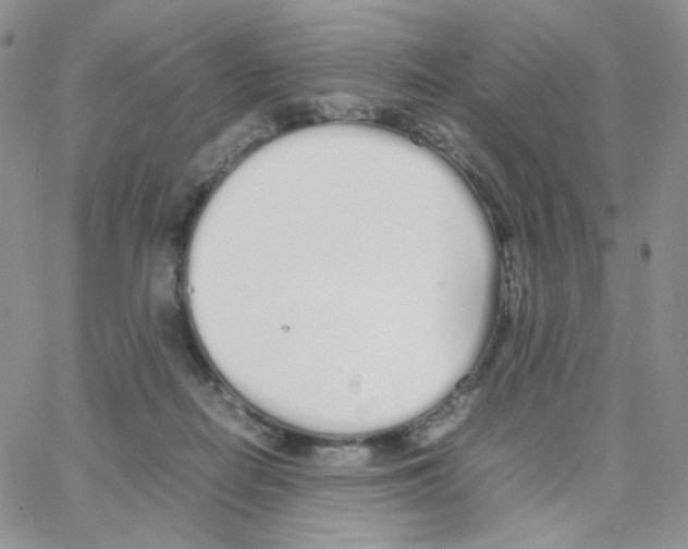 X0000064730266200603131300