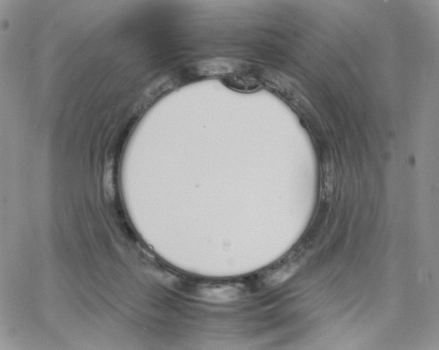 X0000064730267200603131301