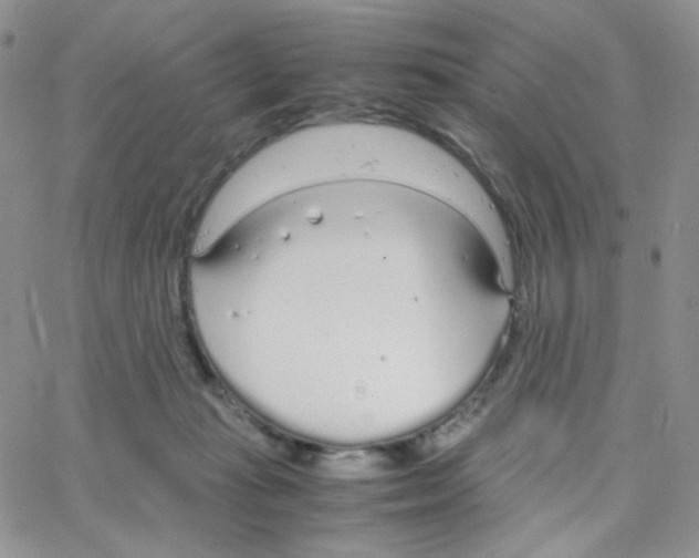 X0000064730269200603131301