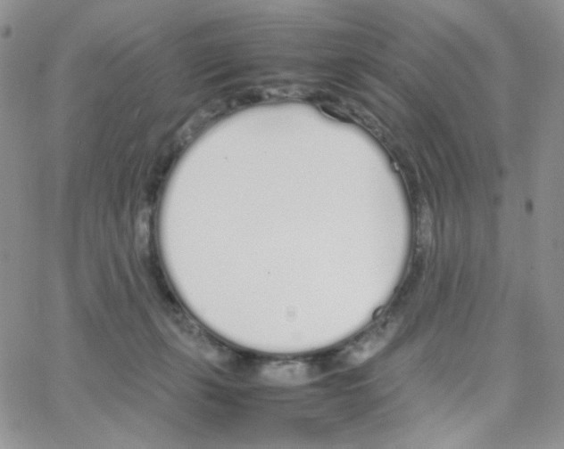 X0000064730271200603131301