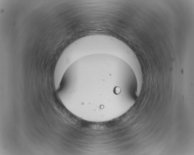 X0000064730272200603131301