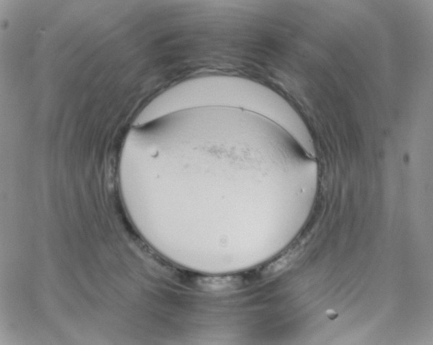 X0000064730273200603131301