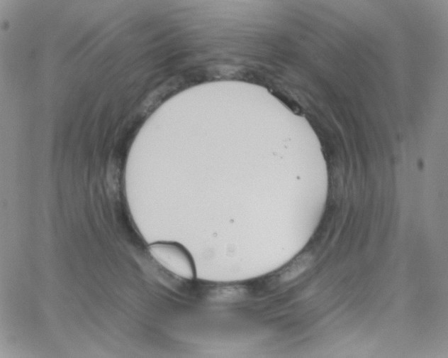 X0000064730274200603131301