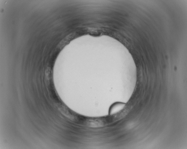 X0000064730275200603131301