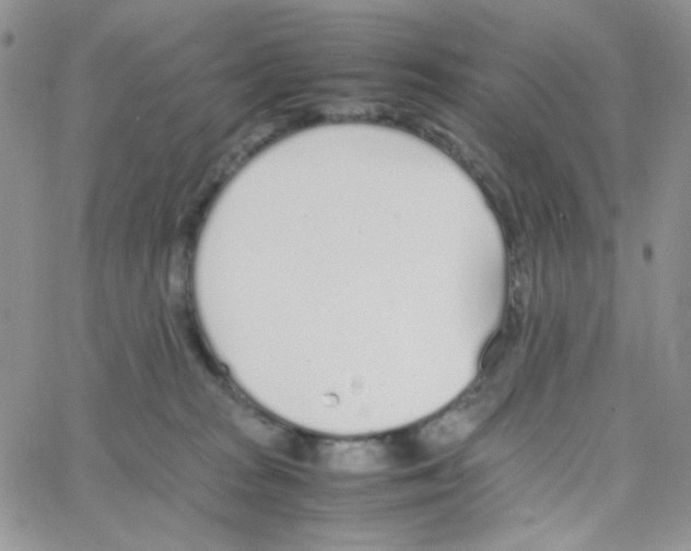 X0000064730277200603131301