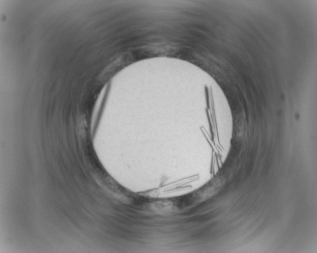 X0000064730279200603131301