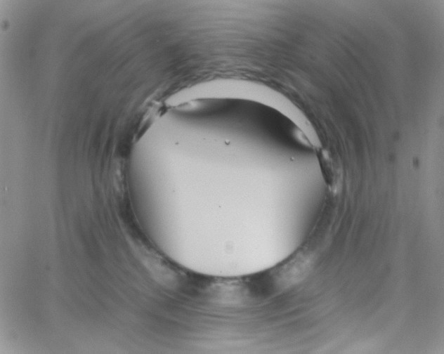 X0000064730280200603131301