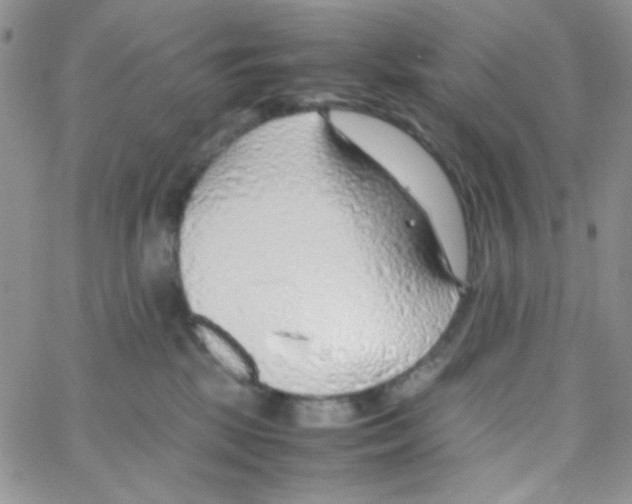 X0000064730281200603131301