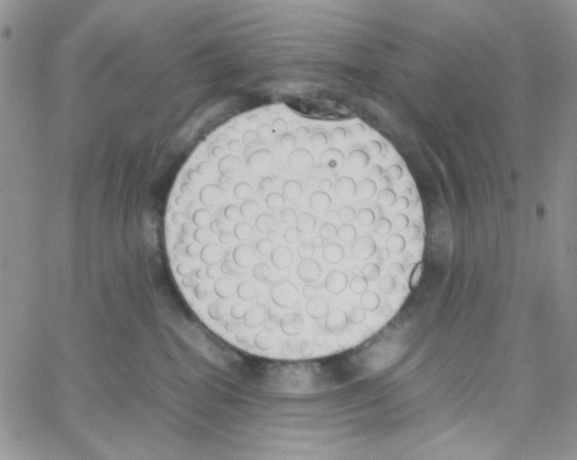 X0000064730282200603131301