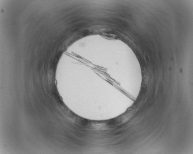 X0000064730283200603131301