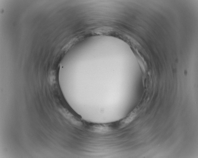 X0000064730284200603131301