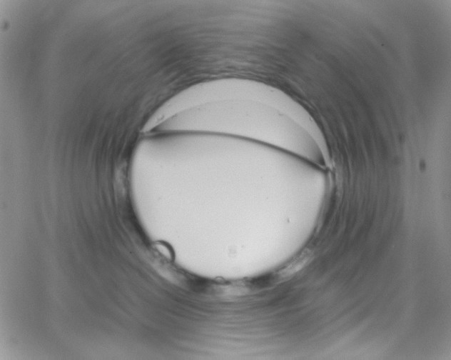 X0000064730286200603131301