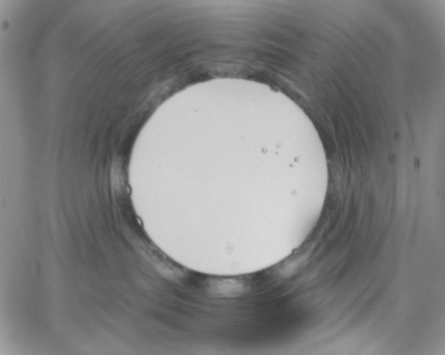 X0000064730287200603131301