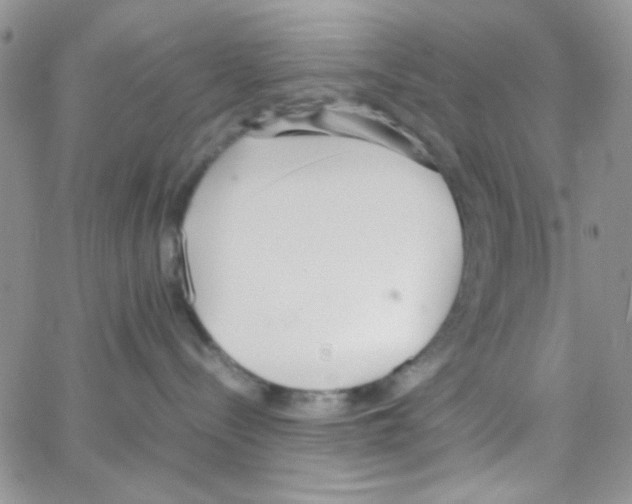 X0000064730288200603131301