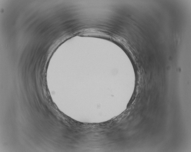 X0000064730289200603131300