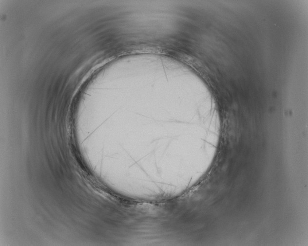 X0000064730290200603131300