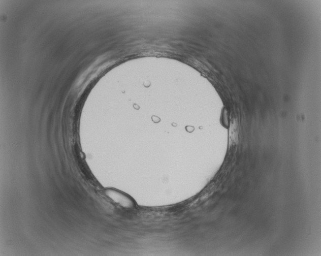 X0000064730291200603131300