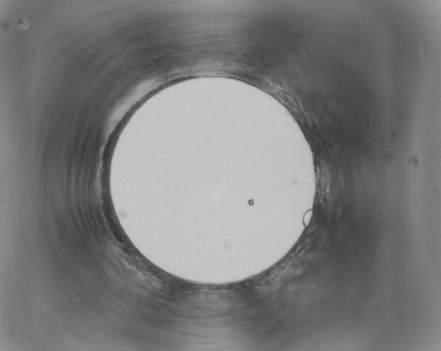 X0000064730292200603131300