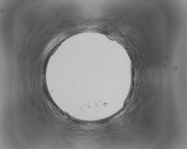 X0000064730293200603131300