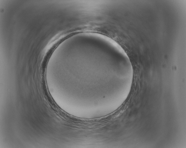 X0000064730295200603131300