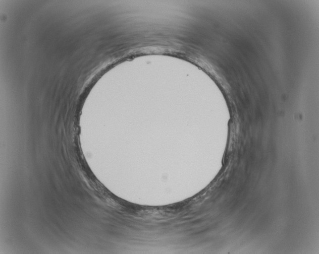 X0000064730297200603131300