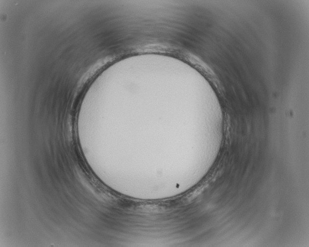 X0000064730298200603131300