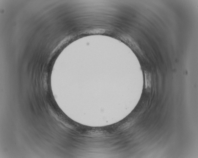 X0000064730300200603131300