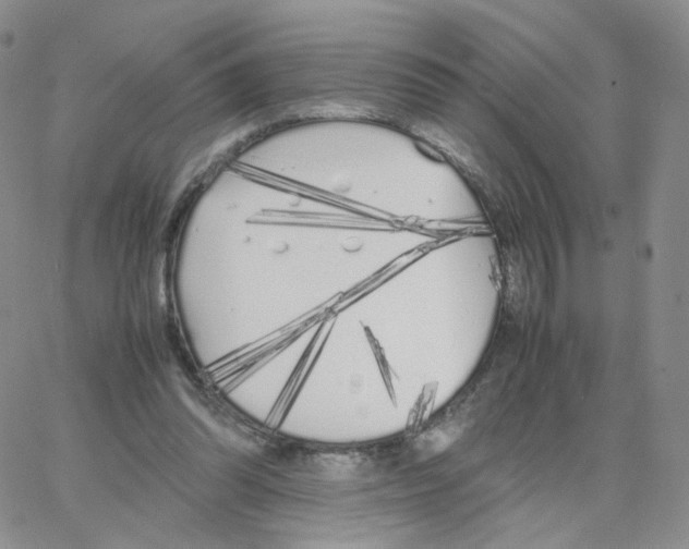 X0000064730302200603131300