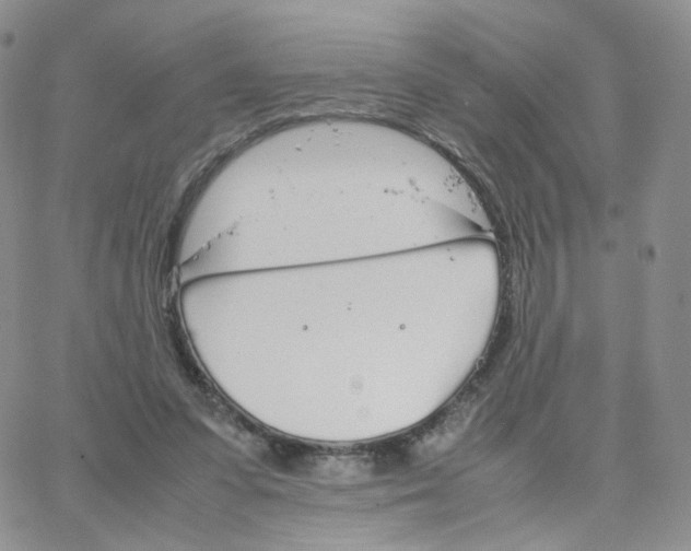 X0000064730303200603131300