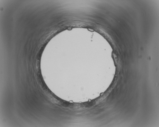 X0000064730305200603131300