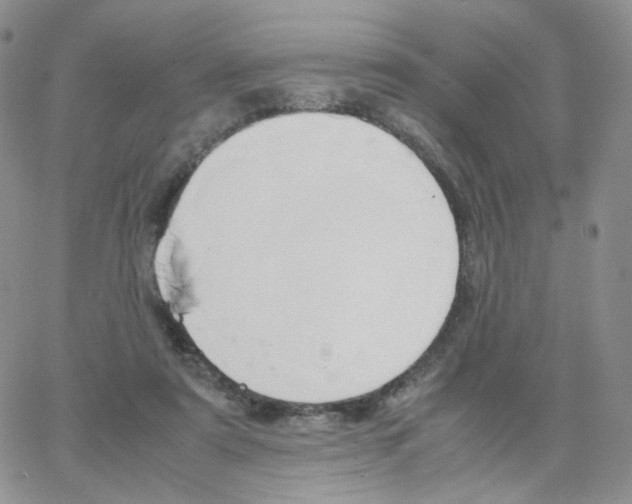 X0000064730307200603131300