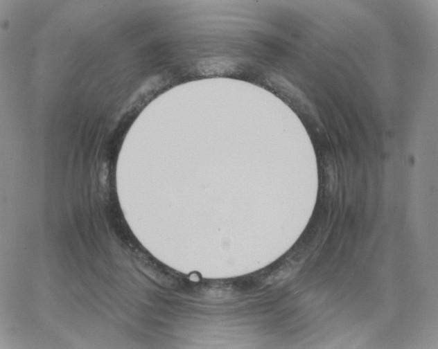 X0000064730308200603131300