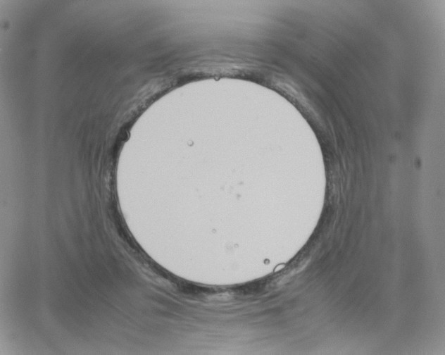 X0000064730309200603131300