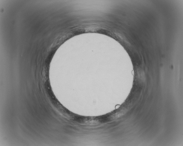 X0000064730311200603131300