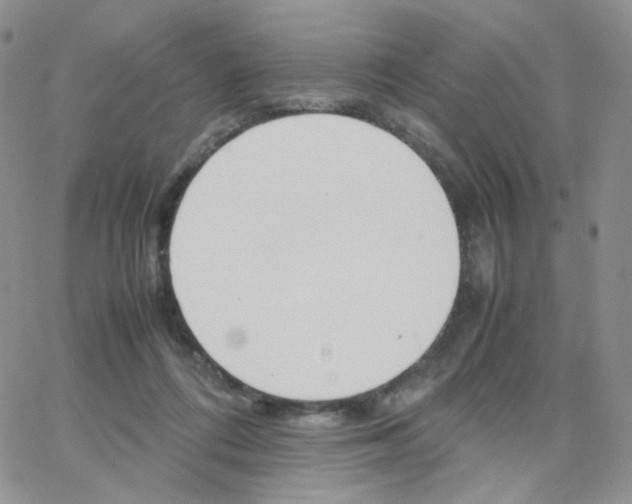 X0000064730312200603131300