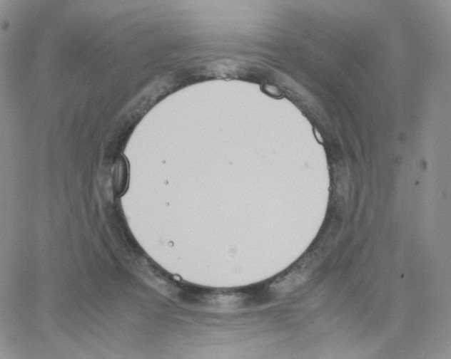 X0000064730313200603131300