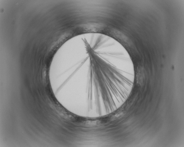 X0000064730314200603131300