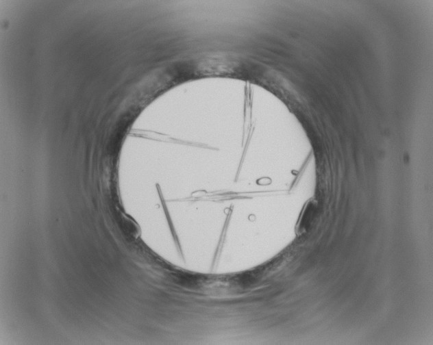 X0000064730315200603131300